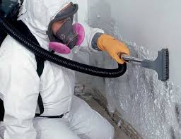 Best Mold Remediation for Healthcare Facilities in USA